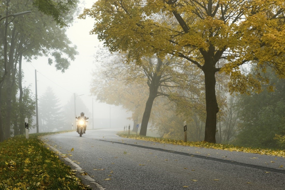 Driving bike in autumn